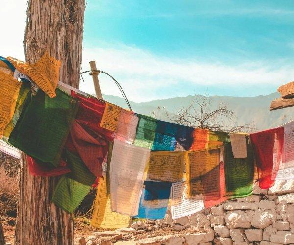 Excursión de 1 día al Valle de Ourika.